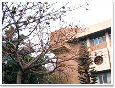Department of Foreign Languages and Literature