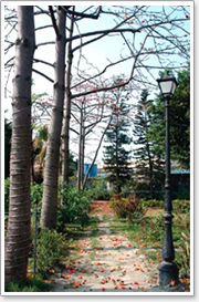 The Department is divided into two divisions